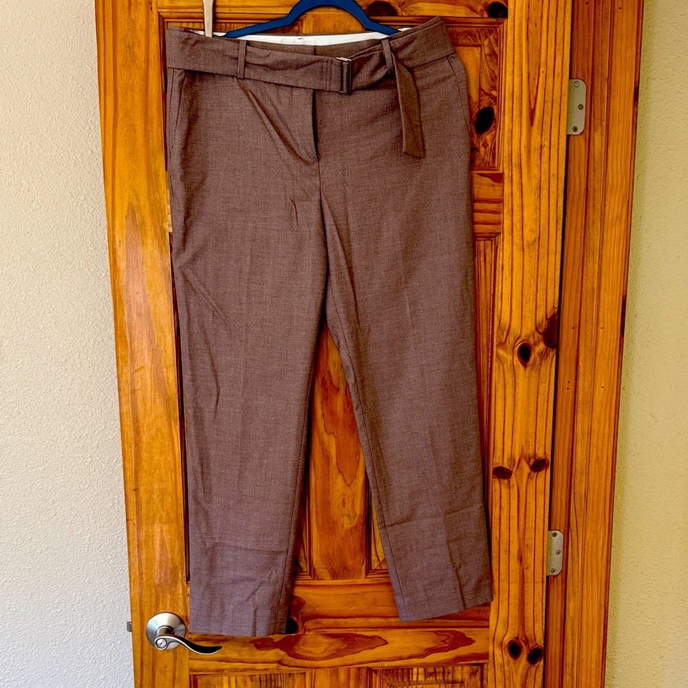 Ann Taylor Brown Women's Pants